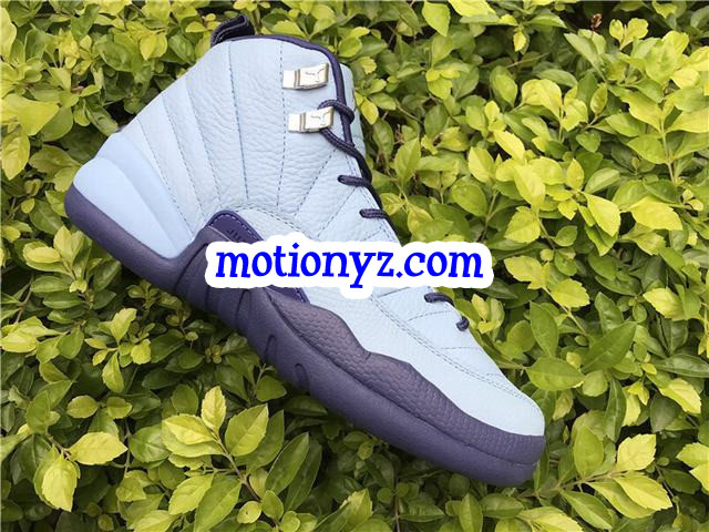 Authentic Air Jordan 12 Retro Purple Dust